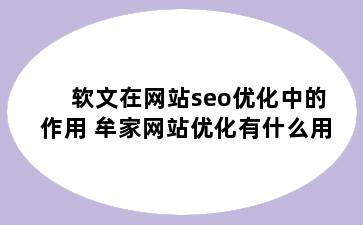 软文在网站seo优化中的作用 牟家网站优化有什么用